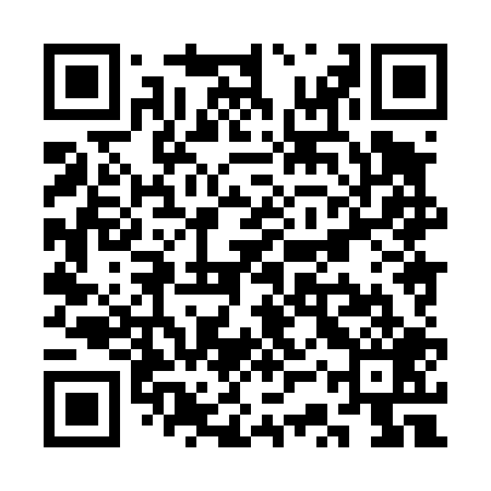 QR code for SSX409