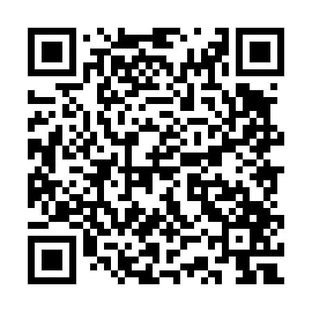 QR code for SSX447
