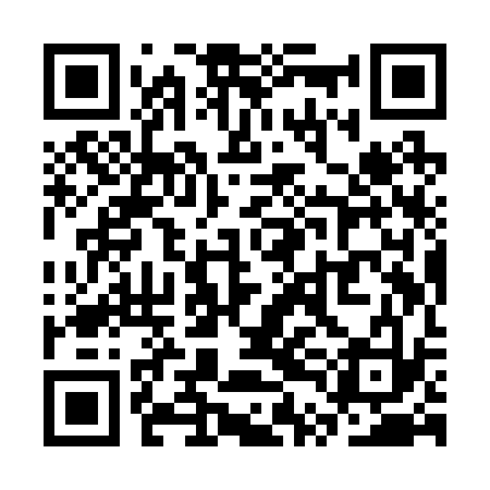 QR code for STIR33