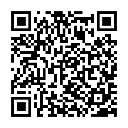QR code for STN295