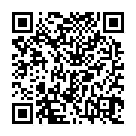 QR code for SVDS20