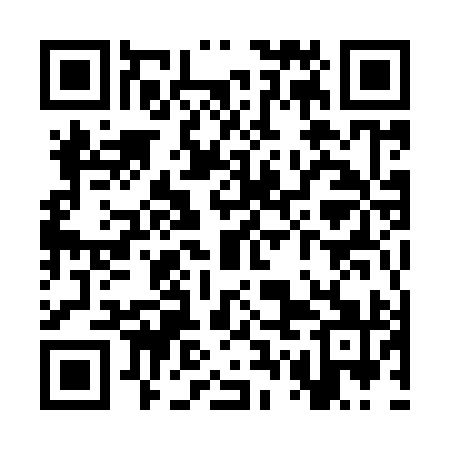 QR code for SWM991