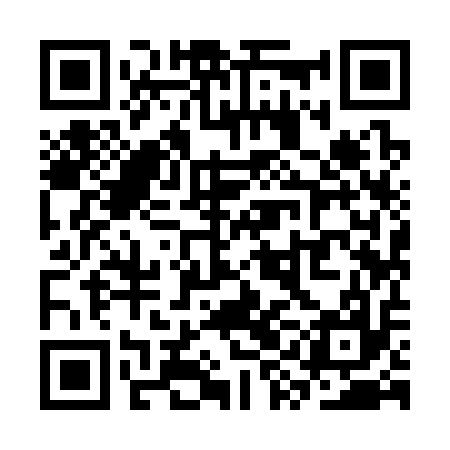 QR code for SYI317