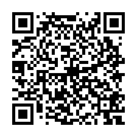 QR code for TBI308