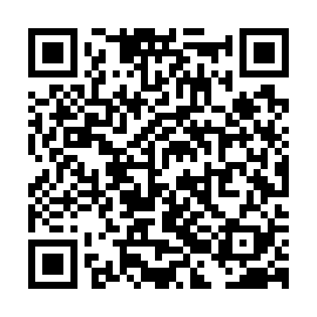 QR code for TBLG29
