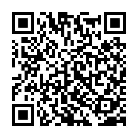 QR code for TDC228