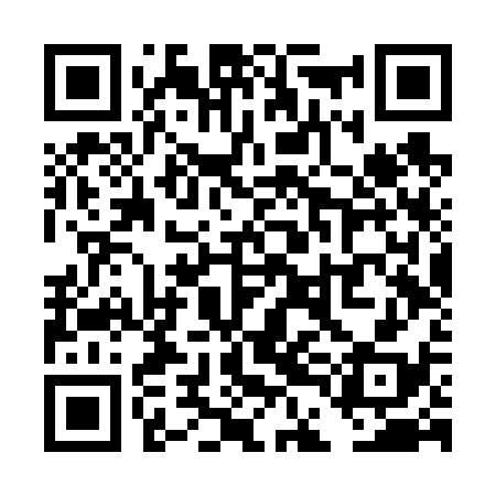 QR code for TDFV38