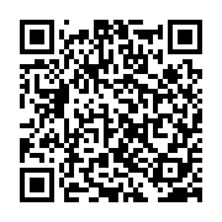 QR code for TDG358