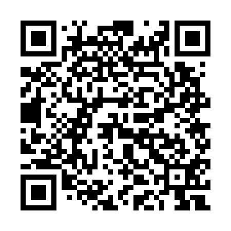 QR code for TDG711