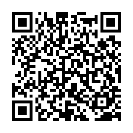 QR code for TDMG85