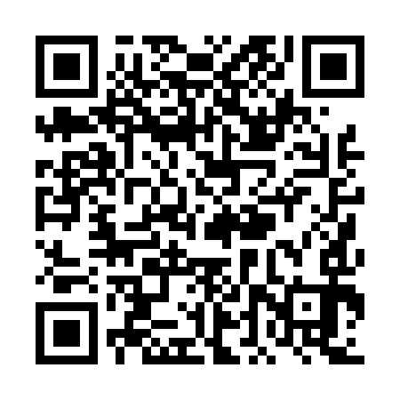 QR code for TDP493