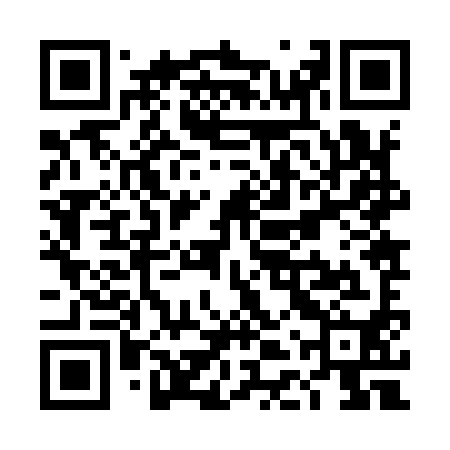 QR code for TDZ990