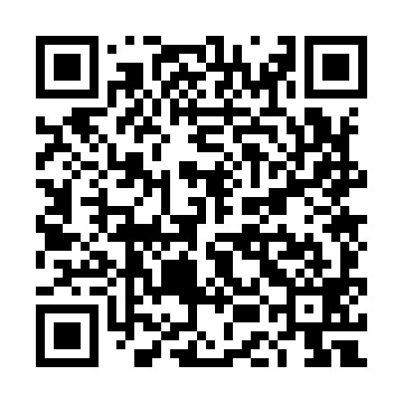 QR code for TEO999