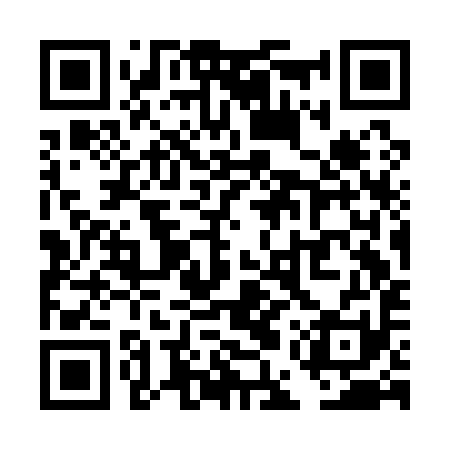 QR code for TESA91