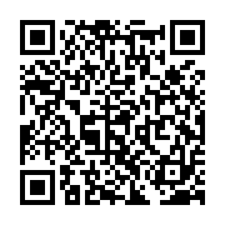QR code for TGDM13