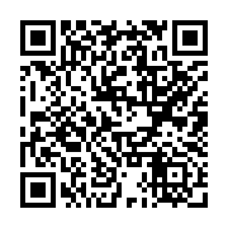 QR code for THS993