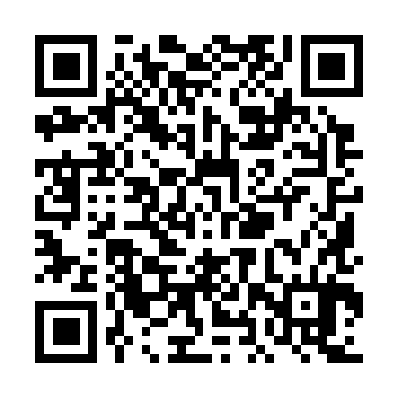 QR code for THY384