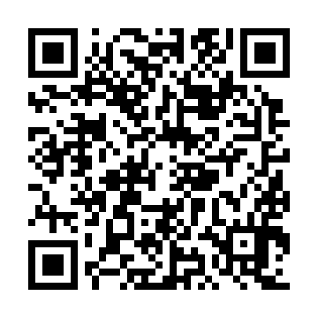 QR code for TIF394