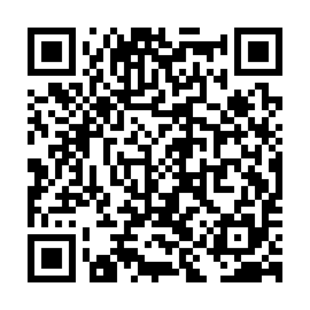 QR code for TIQC95