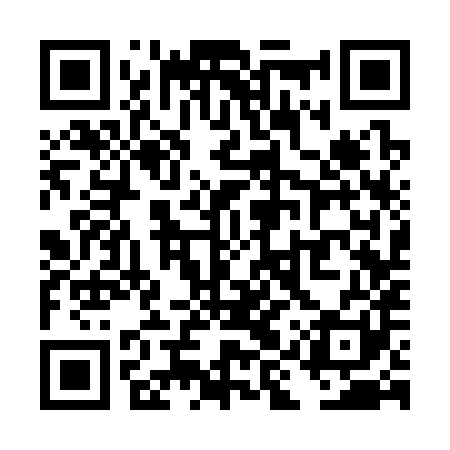 QR code for TIS381