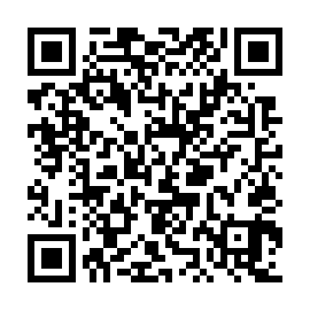 QR code for TJMG41