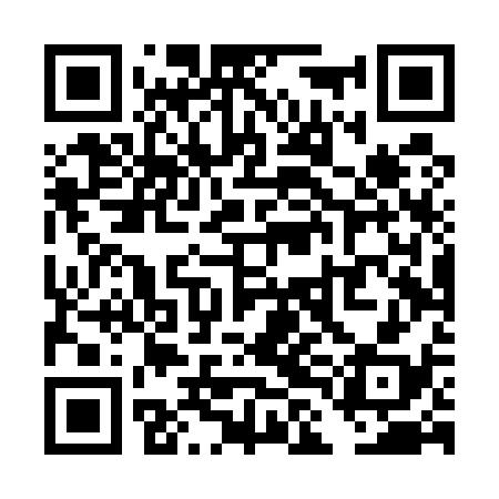 QR code for TLDU38