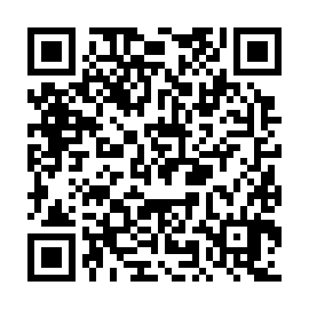 QR code for TMF384