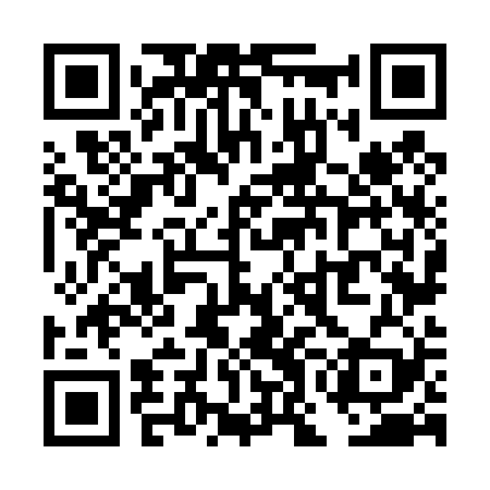 QR code for TON429