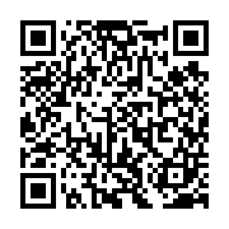 QR code for TOY603