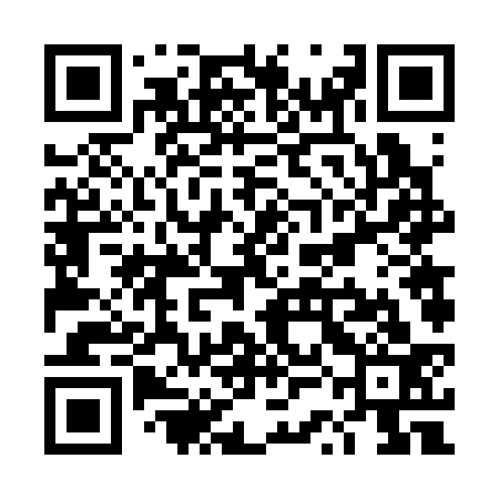 QR code for TSF333