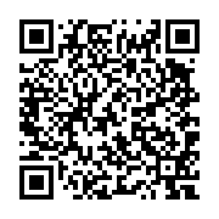 QR code for TSFD91