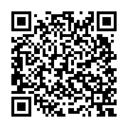 QR code for TSG655