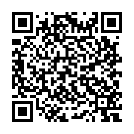 QR code for TSLA53
