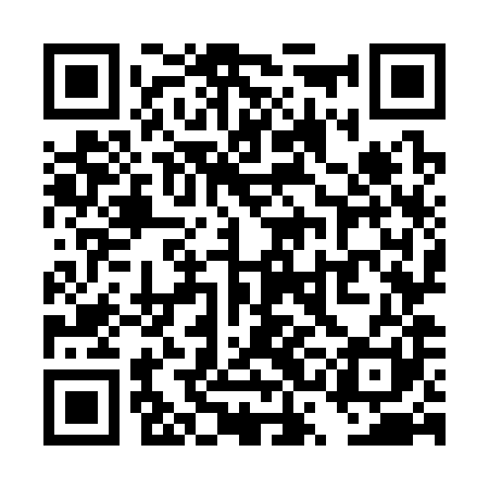 QR code for TSO381