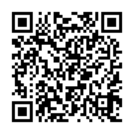 QR code for TTK919