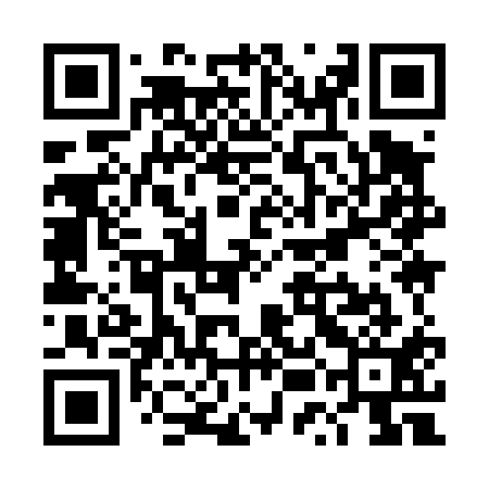 QR code for TUI411