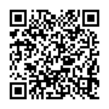 QR code for TUR953