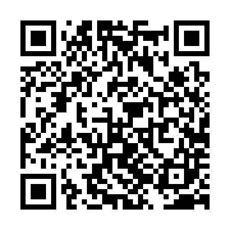 QR code for TZD383