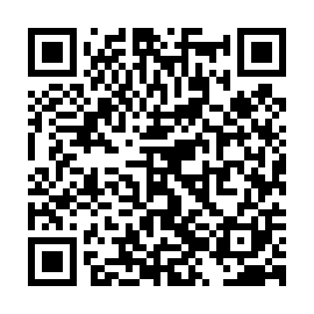 QR code for TZM401