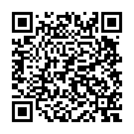 QR code for UAB411