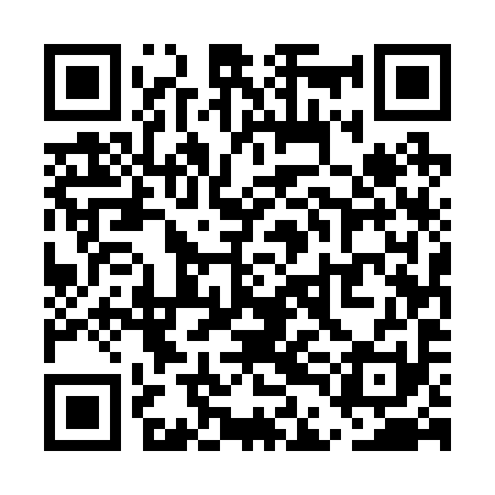 QR code for UDE291