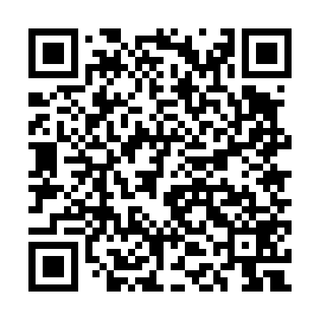 QR code for UDE459
