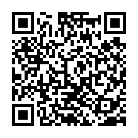 QR code for UDE639