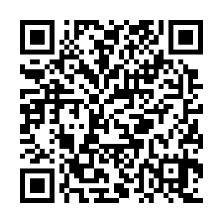 QR code for UDF335