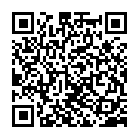 QR code for UDJI79