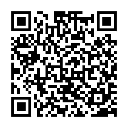 QR code for UDM295