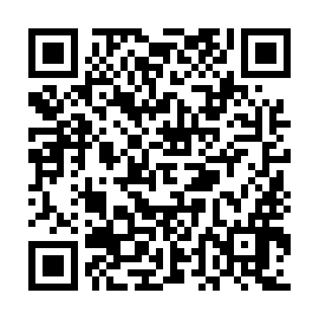 QR code for UDN596