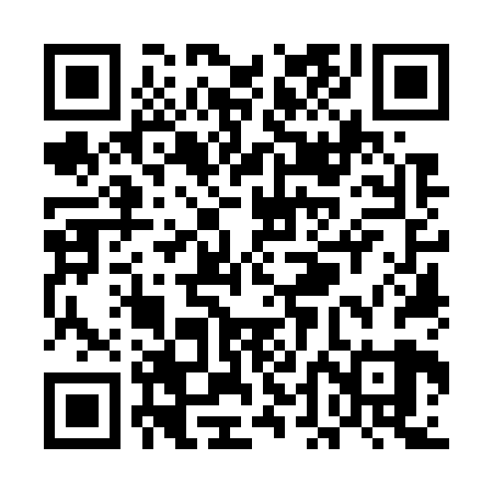 QR code for UDO729