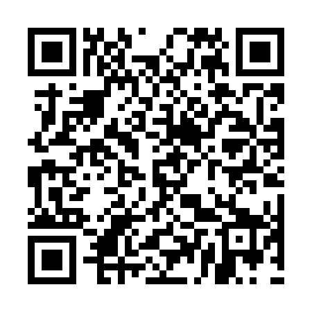 QR code for UDPM49
