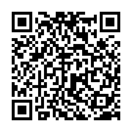 QR code for UDQ979